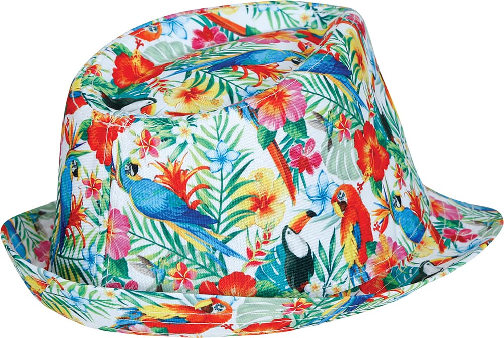 Tropisk hat