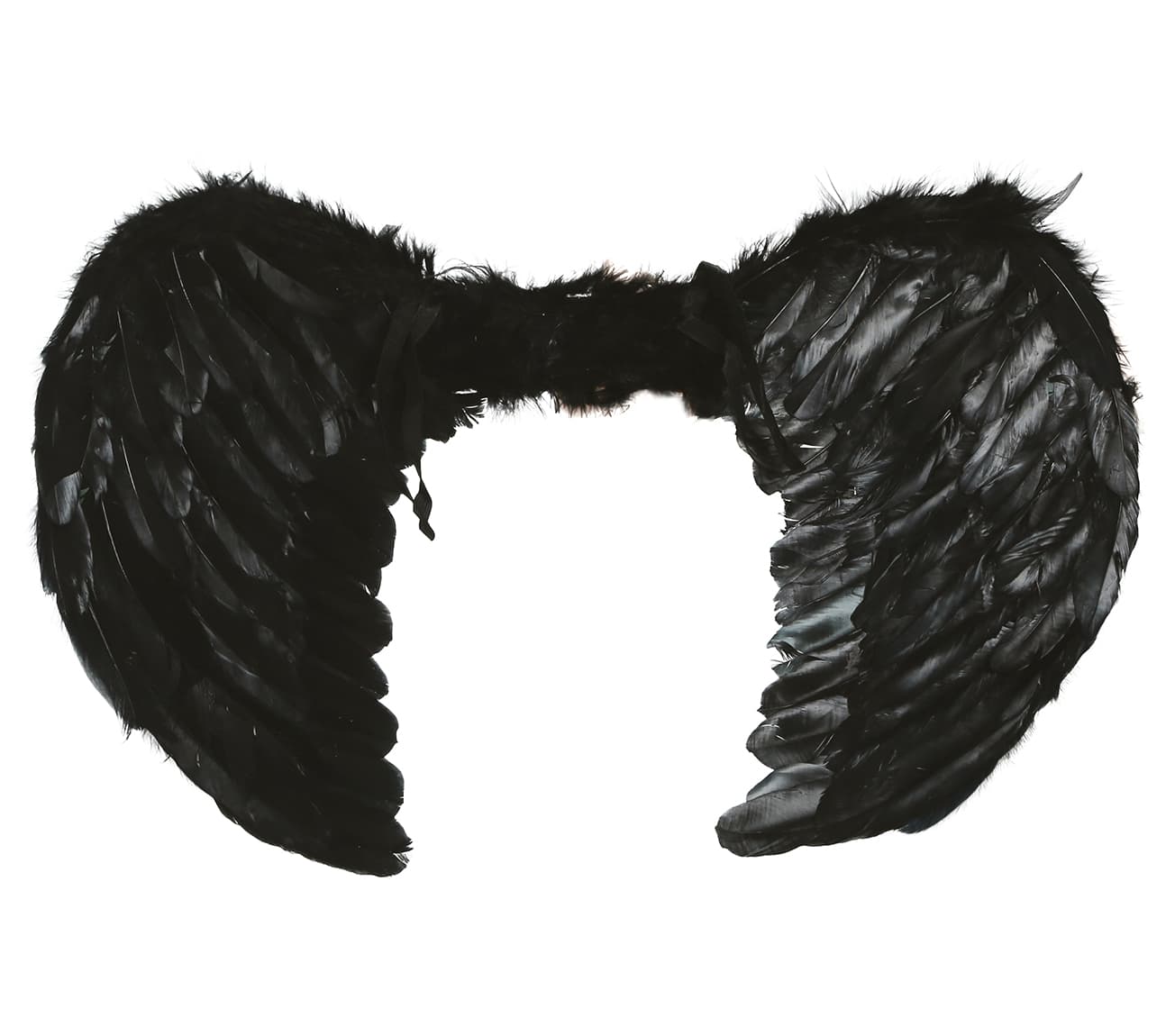 Sorte fjervinger, 60 × 40 cm