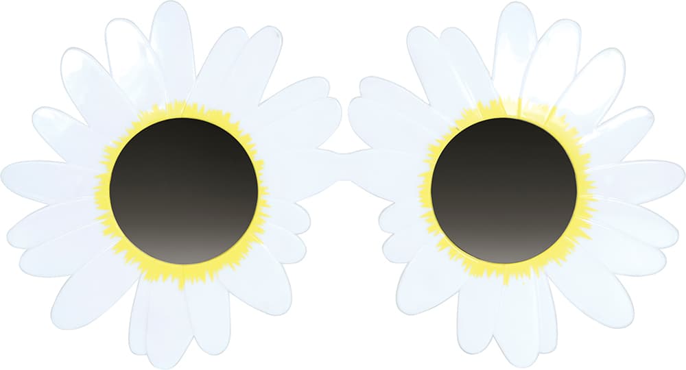 Margueritbriller, hvide