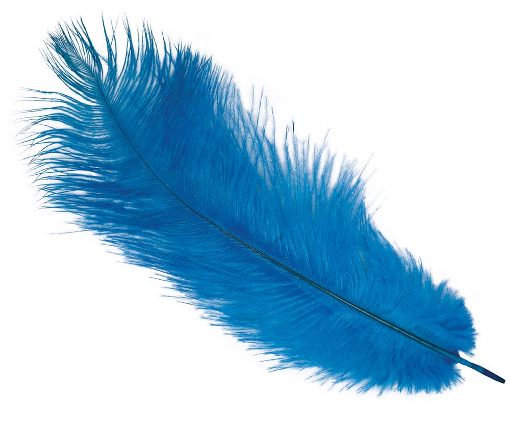 Pose med 12 strudsefjer, 25-35 cm, blå