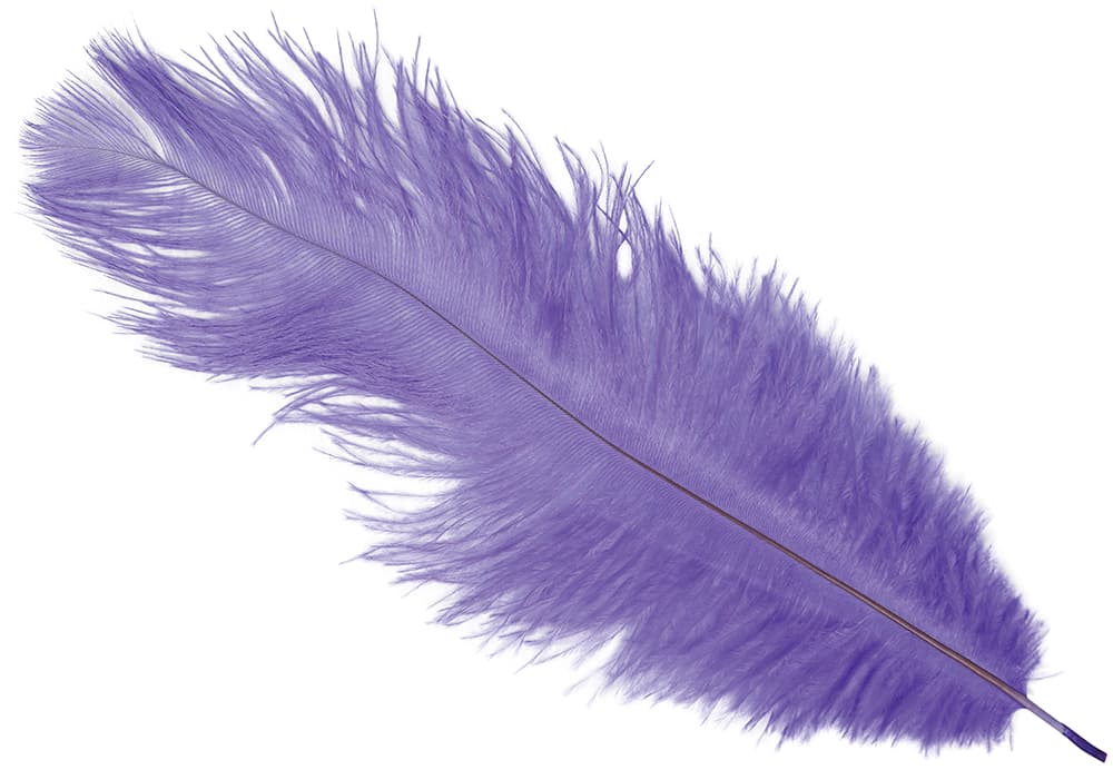 Pose med 12 strudsefjer, 25-35 cm, lilla