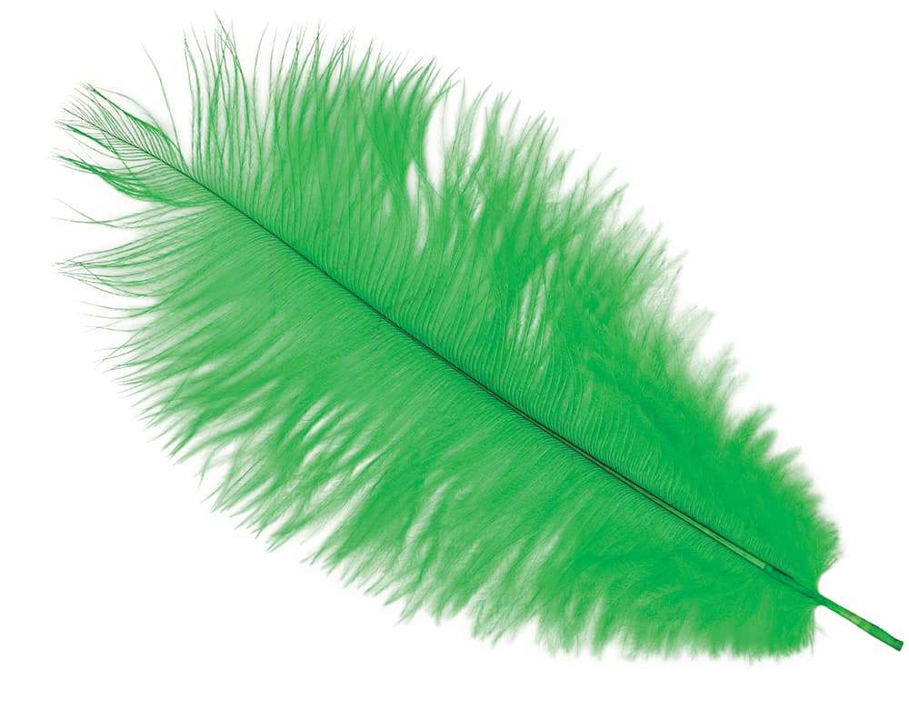 Pose med 12 strudsefjer, 25-35 cm, grøn