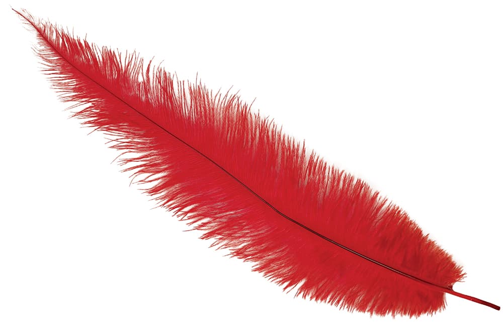 Pose med 12 strudsefjer, 35-45 cm, rød