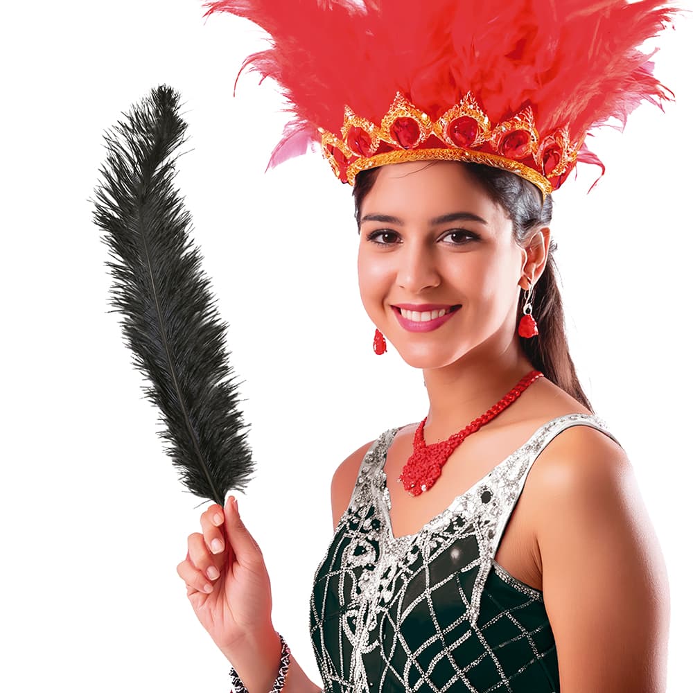 Pose med 12 strudsefjer, 45-65 cm, sort