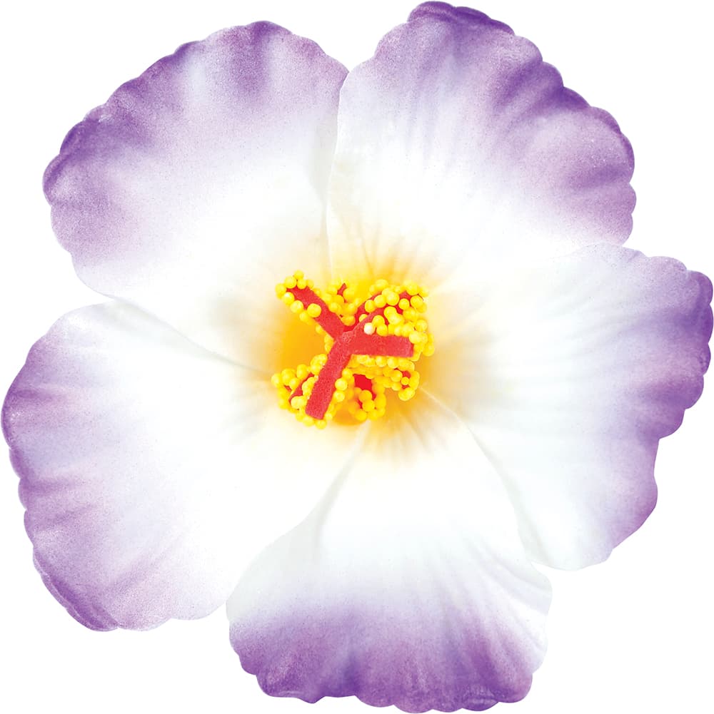 Pakke med 3 hawaiiblomster i høj kvalitet