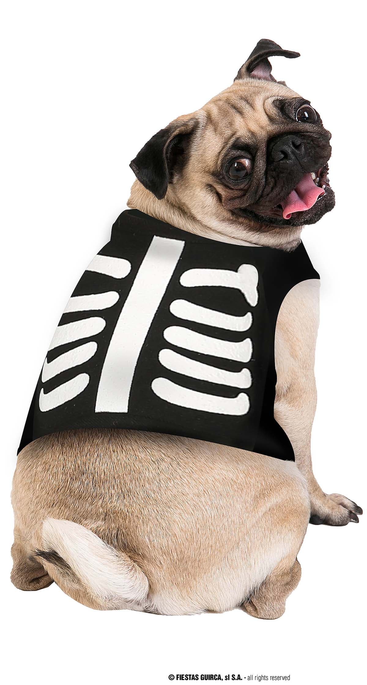 Dyreskelet – kostume til hunde