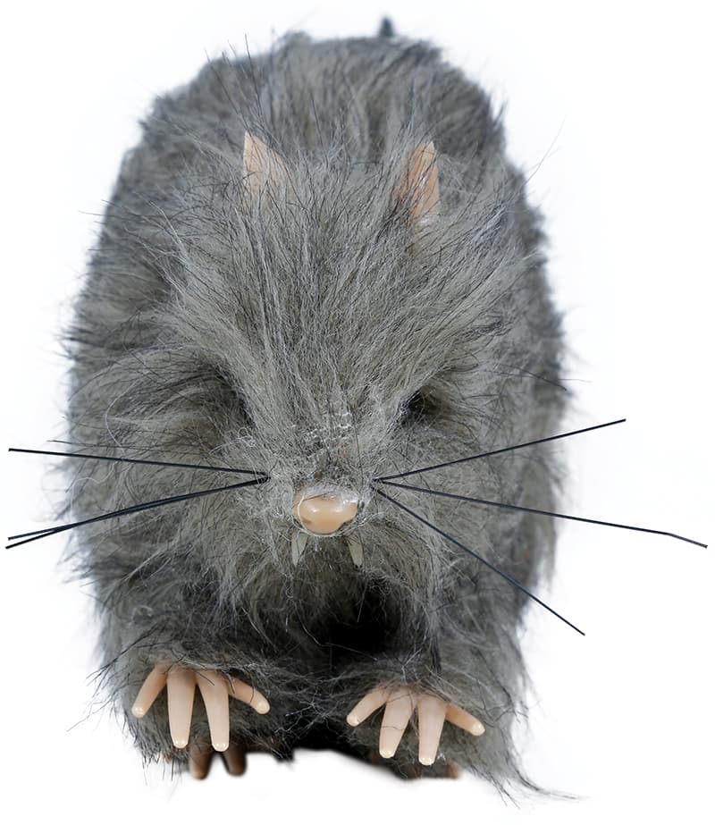 Lille lodden rotte 15 cm