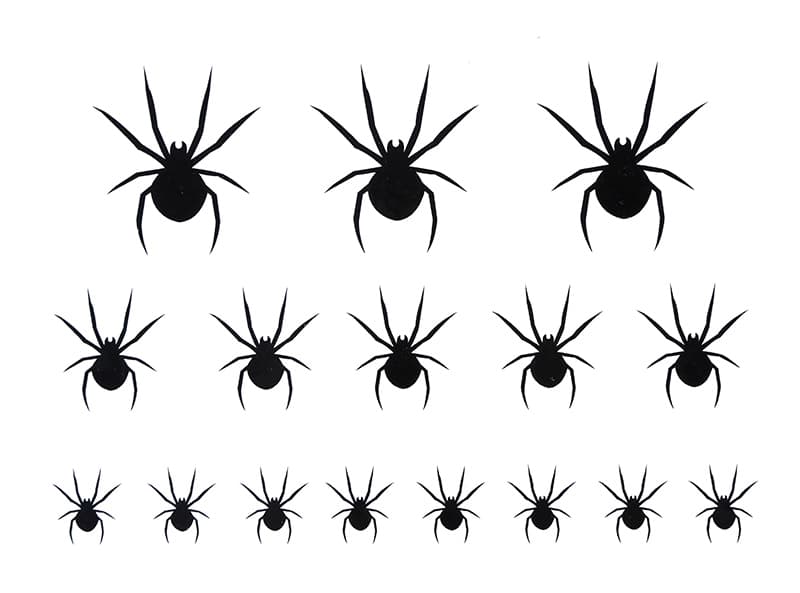 2 ark med 16 selvklæbende edderkoppetatoveringer, 15 × 11 cm