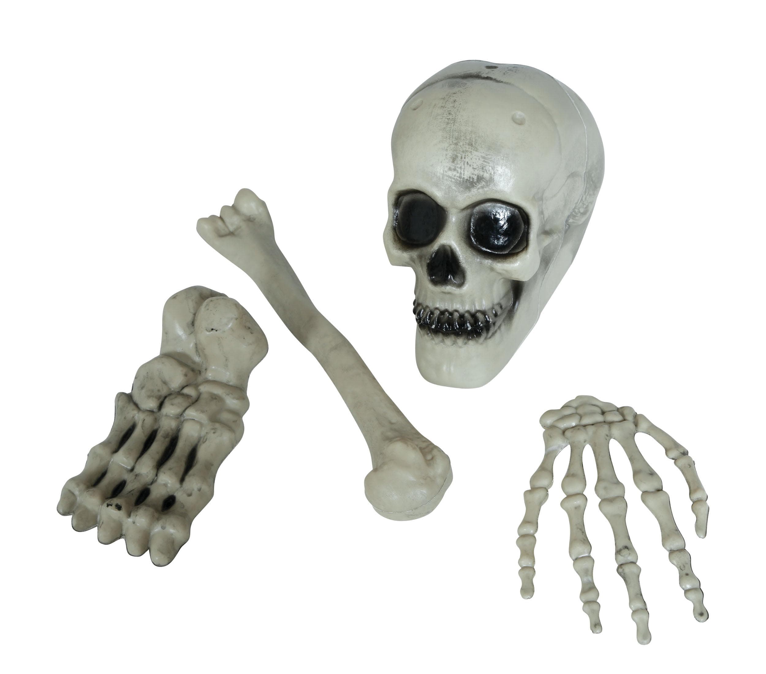 Sæt med 4 skeletknogler