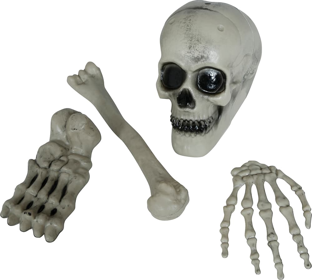 Sæt med 4 skeletknogler