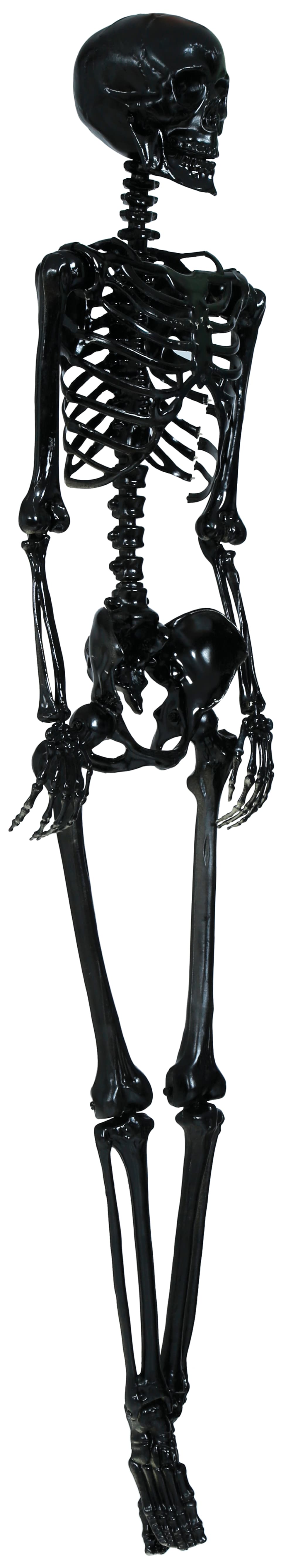 Sort skelet, 160 cm