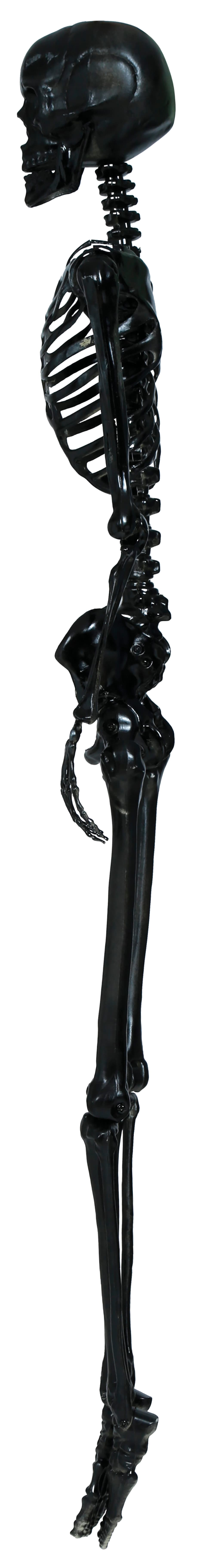 Sort skelet, 160 cm