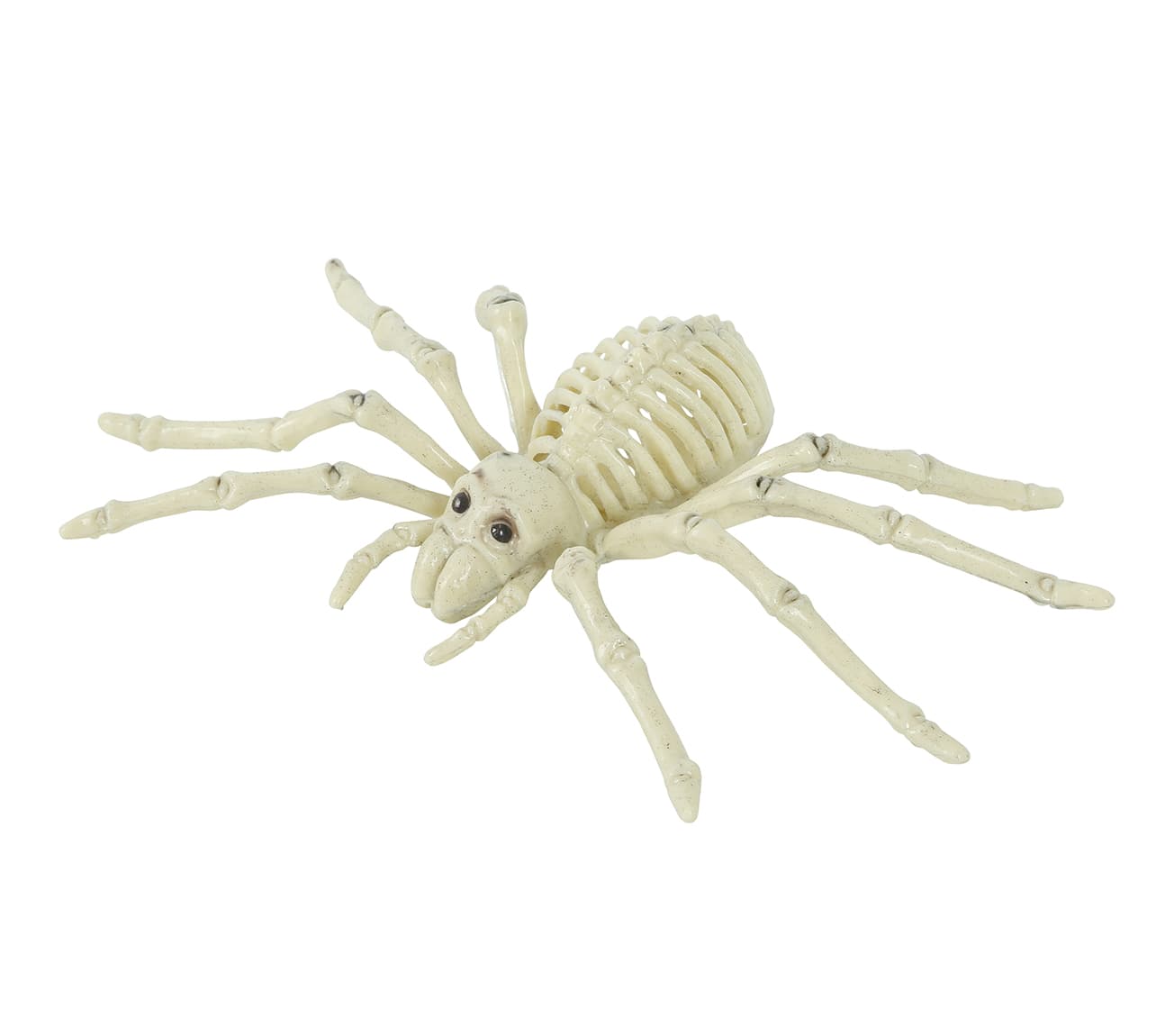 Edderkoppeskelet 24 cm
