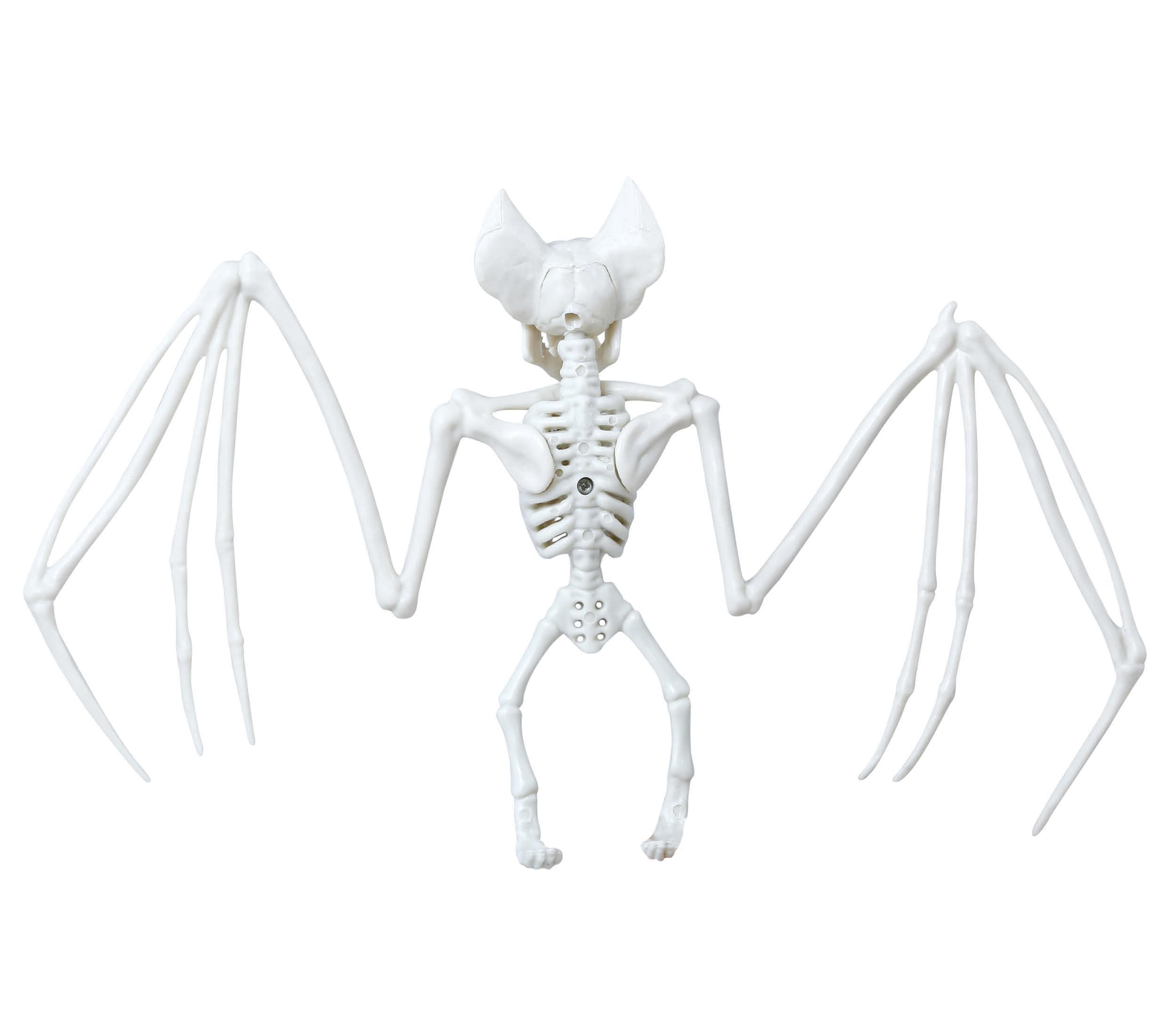 Flagermusskelet, 30 × 16 cm