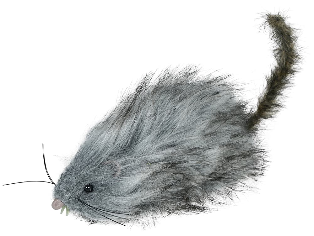 Grå lodden rotte, 16 cm