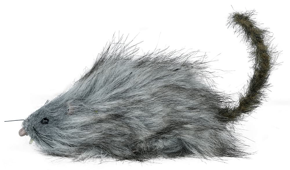 Grå lodden rotte, 16 cm
