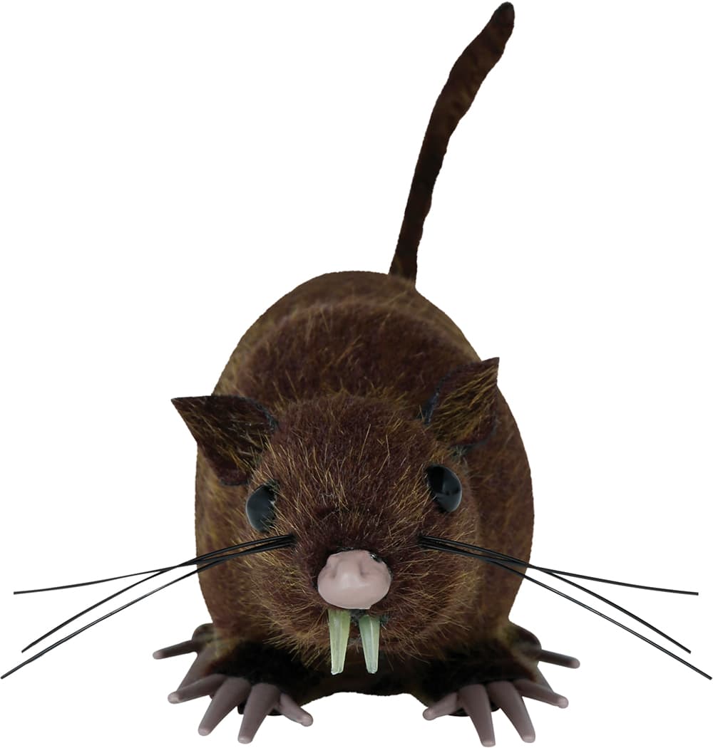 Brun rotte, 15 cm