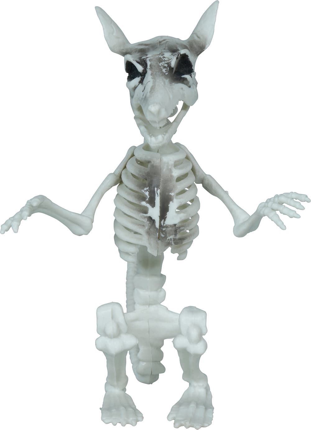 Skeletrotte, PVC, 17 cm