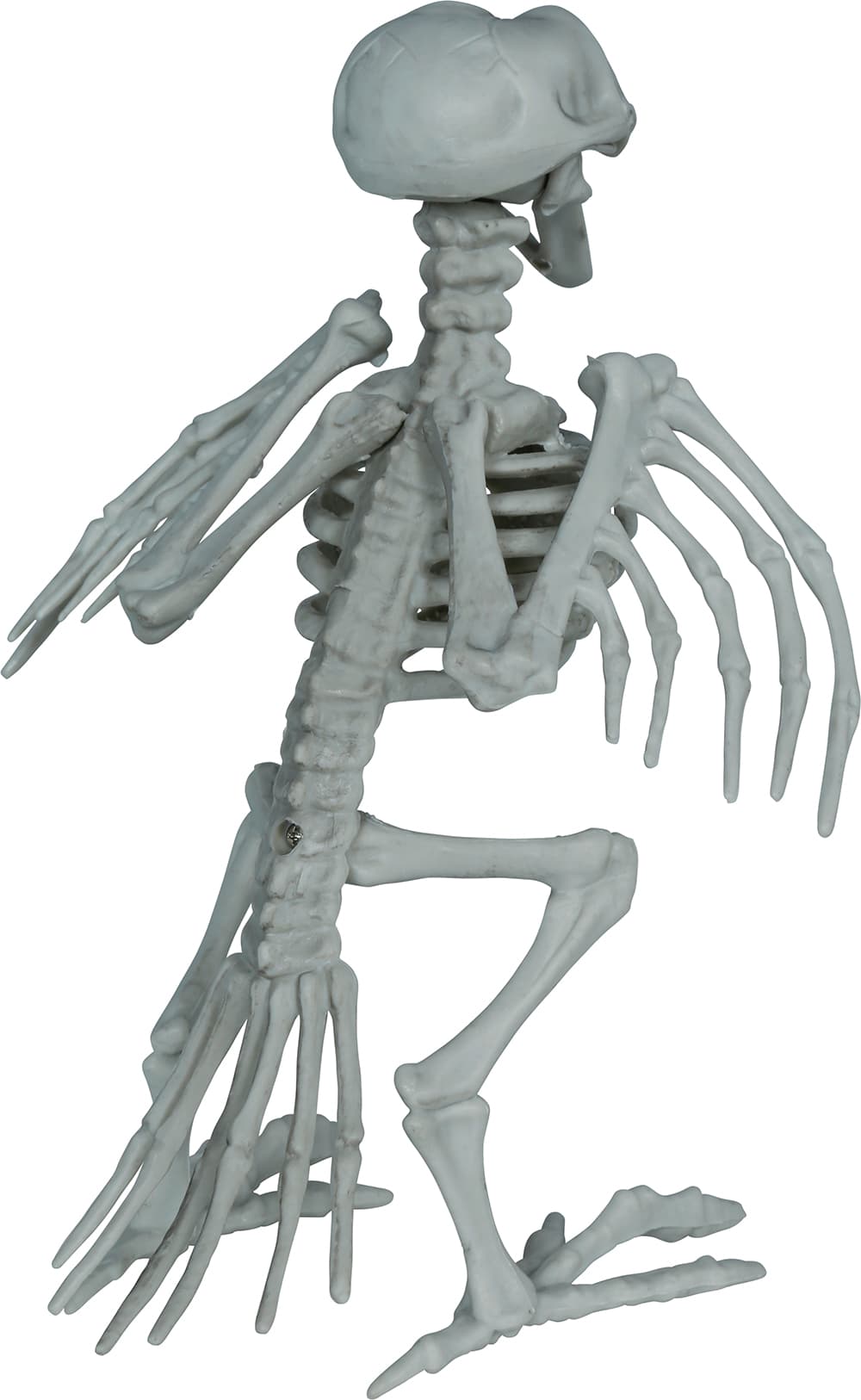 Skeletkrage, PVC, 20 cm