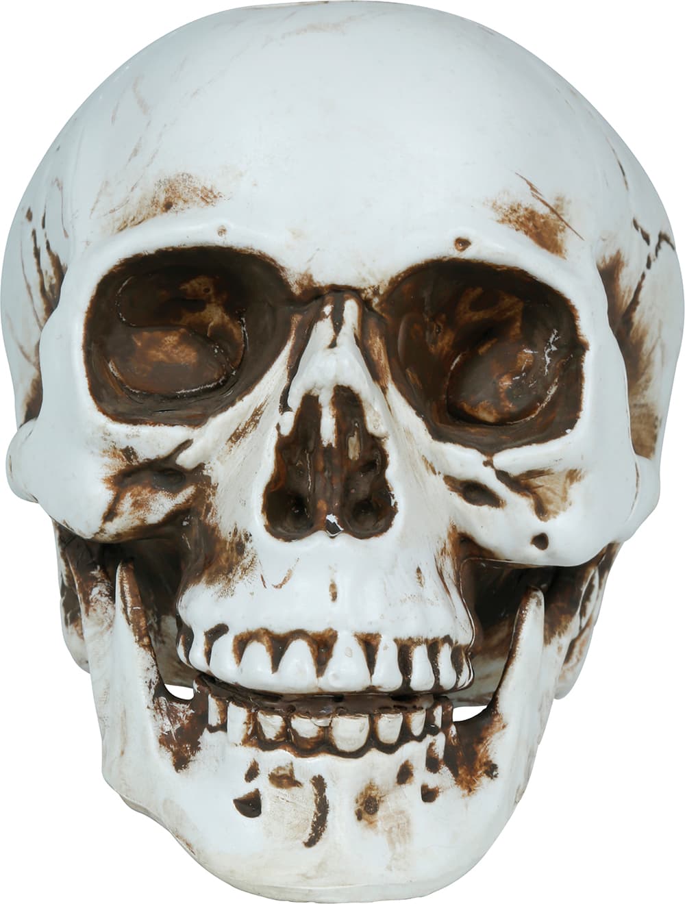 Kranie, PVC, 22 cm