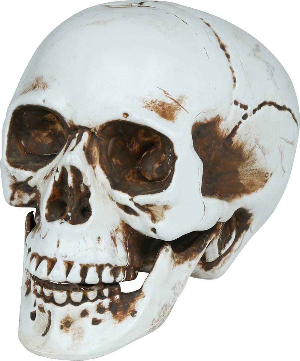 Kranie, PVC, 22 cm