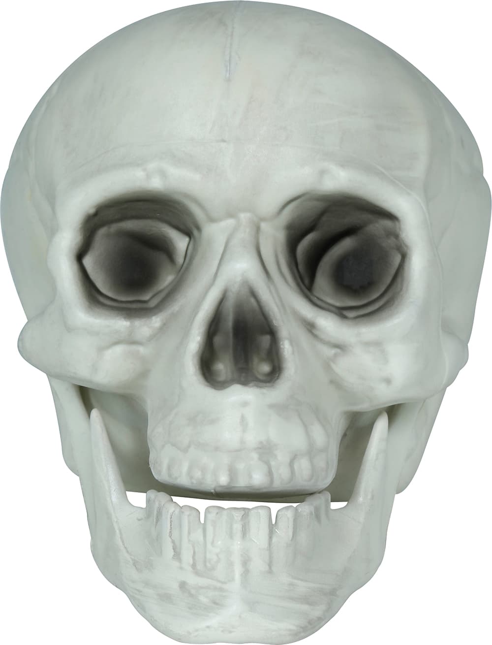 Sæt med 3 kranier, PVC, 15 cm