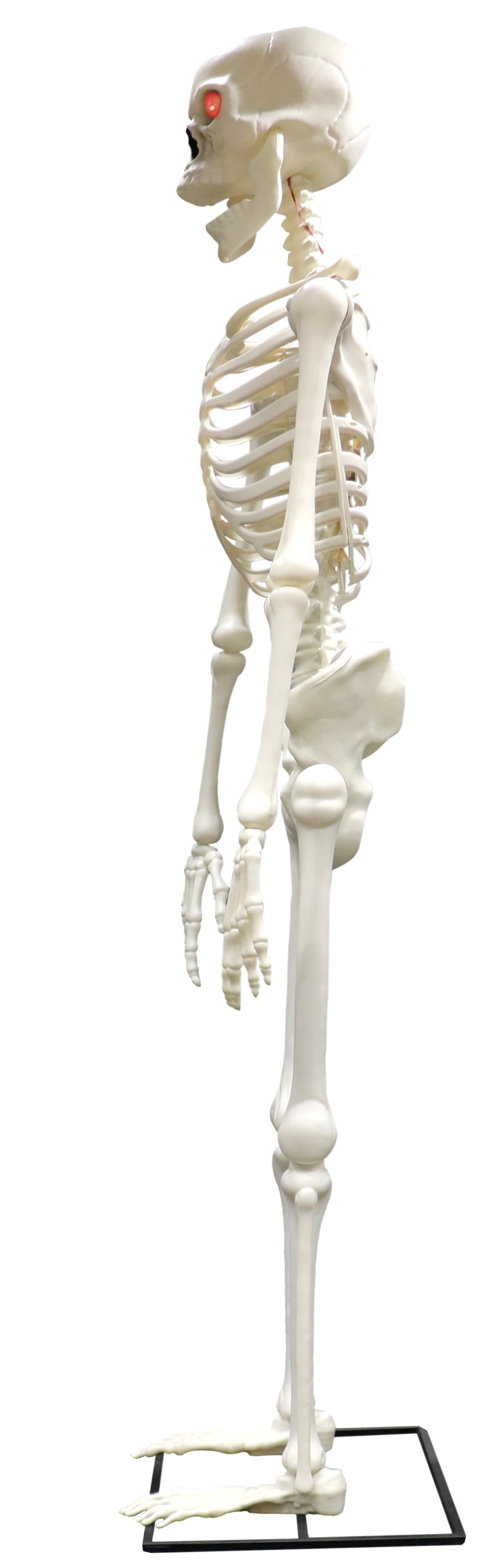 Kæmpeskelet med lys, 310 cm (med metalstativ)
