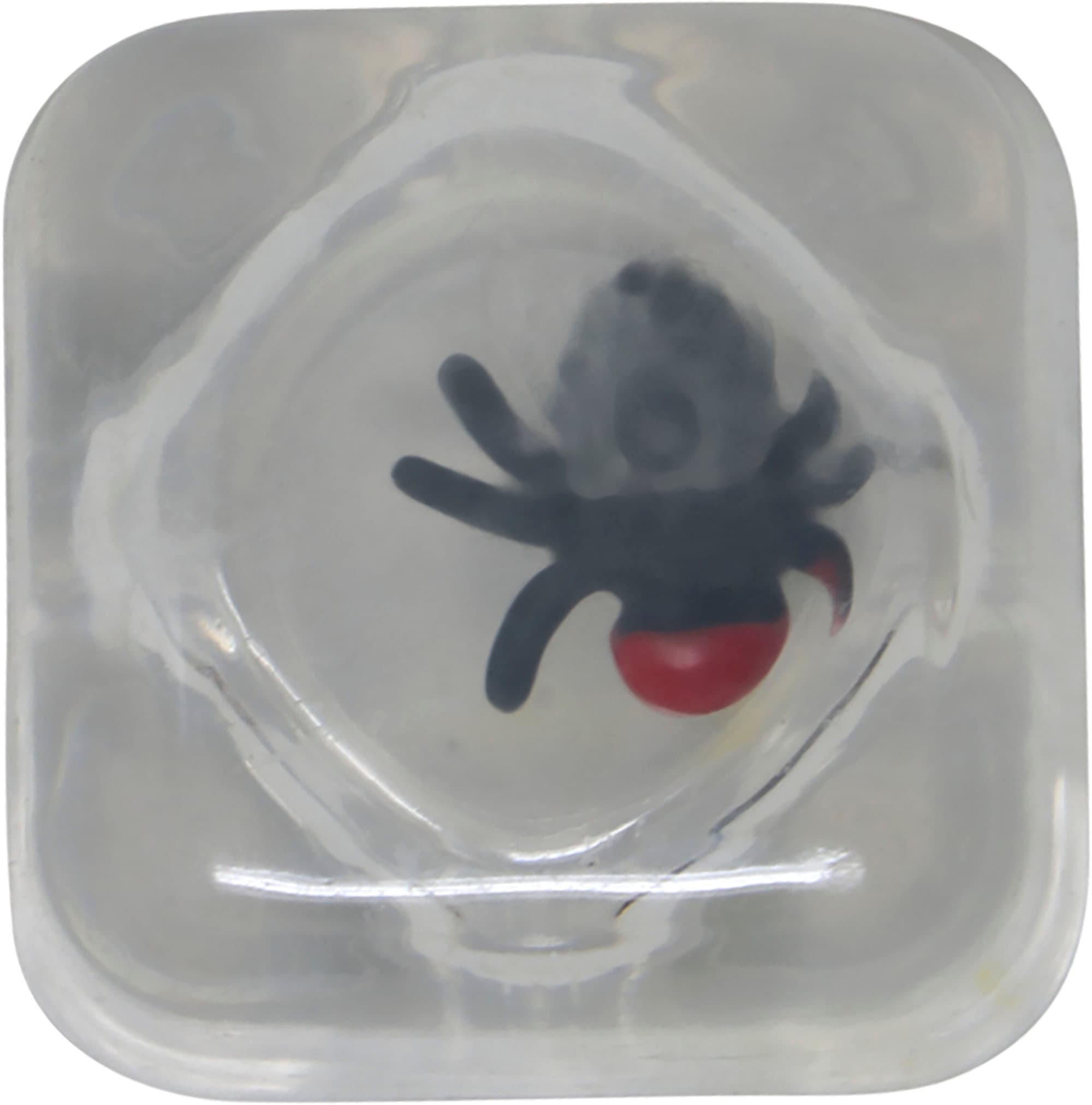 Drille-isterninger med insekter, 8 × 3 × 5 cm