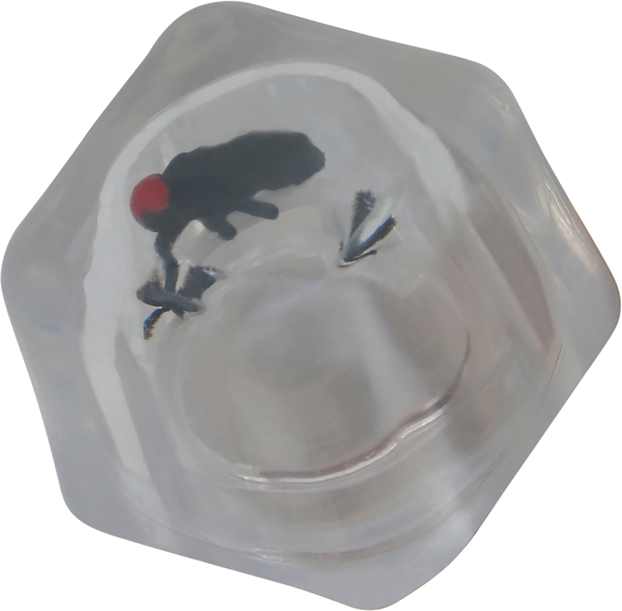 Drille-isterninger med insekter, 8 × 3 × 5 cm